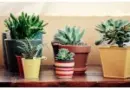 Guide et conseils pour aménager sa terrasse