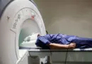 IHU de Strasbourg : des cochons ont-ils été priorisés sur des malades du cancer ?