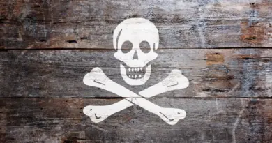 IPTV : de la prison ferme pour ce pirate devenu millionnaire