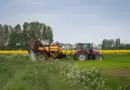 Ibb : Lancement d’une formation destinée aux chercheurs de terrain et aux coordinateurs de direction pour vérifier les données d’enquête