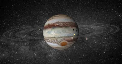 «Il a survécu 24 000 ans congelé» : ce rotifère sibérien révèle des secrets qui pourraient révolutionner la recherche de vie extraterrestre