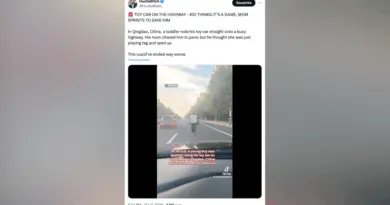 «Il pensait que sa mère jouait à un jeu en le poursuivant» : un enfant s’aventure sur l’autoroute à bord de sa voiturette (vidéo)