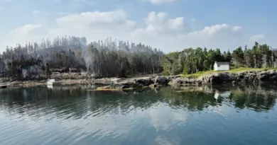 «Il s’agit de l’une des superficies cumulées les plus élevées pour cette période de l’année» : près de six millions d’hectares brûlés par les feux de forêt au Canada