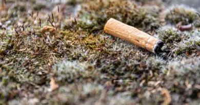 Ils en avaient assez des mégots au sol : ils inventent le cendrier qui tient sous un paquet de clopes
