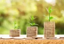 Initiatives fenua, le doc : le Heiva, une culture et un enjeu économique – TNTV