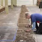 🦖 Insolite: Ce musée trouve un fossile de dinosaure… sous son parking !