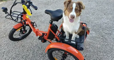 Je teste le vélo électrique à trois roues (pliable) TK1 de Mooncool, voici mon avis