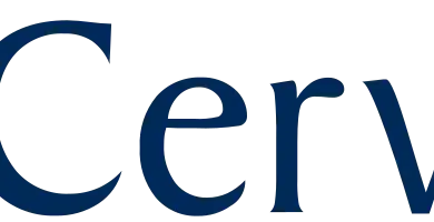 Junior HR Generalist
