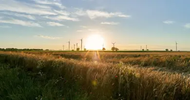 Justice pour le climat : un avis historique – Radio-Canada