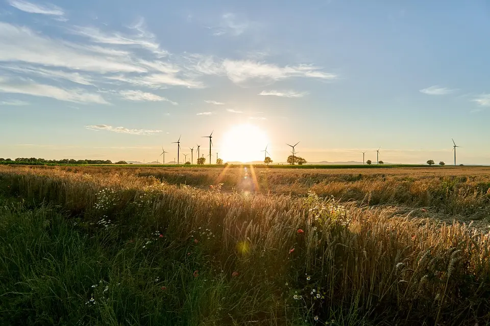 Justice pour le climat : un avis historique – Radio-Canada