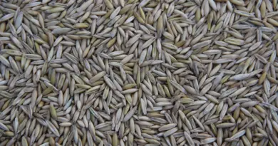 La BAD accorde un prêt de 100 millions d’euros au Maroc pour promouvoir une agriculture durable portée par les femmes et les jeunes