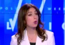 «La France insoumise se place systématiquement du côté du chaos», affirme Shannon Seban