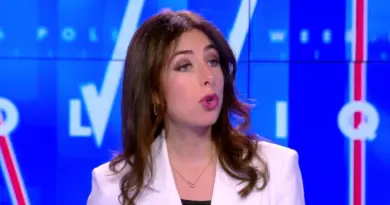 «La France insoumise se place systématiquement du côté du chaos», affirme Shannon Seban