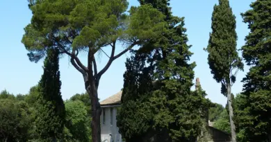 « La bataille la plus importante de notre vie militante » : à Arles, le Front populaire à l’assaut d’une place forte du RN