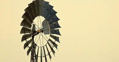 La consommation d’énergie de l’État : des objectifs ambitieux, un suivi à fiabiliser