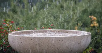 La météo à Agen du mardi 22 juillet 2025