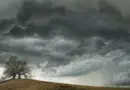 La météo à Biscarrosse du mercredi 16 juillet 2025