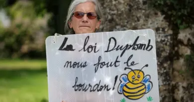 La pétition contre la loi Duplomb approche le million: pourquoi ces signatures ne permettront sans doute pas d’abroger la loi