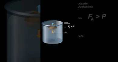 La poussée d’Archimède pour les nuls ! #shorts