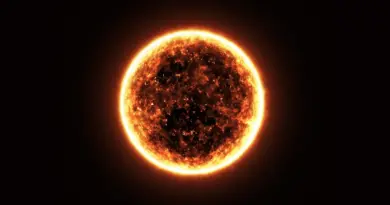 La revue « Science » met officiellement fin à la fausse découverte d’une bactérie extraterrestre