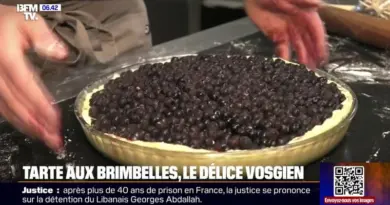 La tarte aux Brimbelles, la spécialité vosgienne qui régale les randonneurs