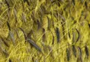 L’agence américaine de l’agriculture met fin à la prise en compte de la race et du sexe dans de nombreux programmes agricoles