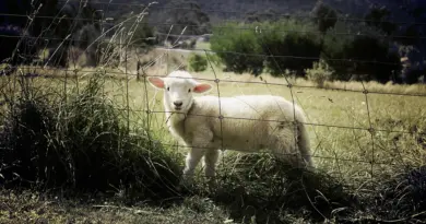 Le Conseil départemental aux côtés de la Société Coopérative Agricole Laitière de Fillinges-Baillard – Département de la Haute-Savoie