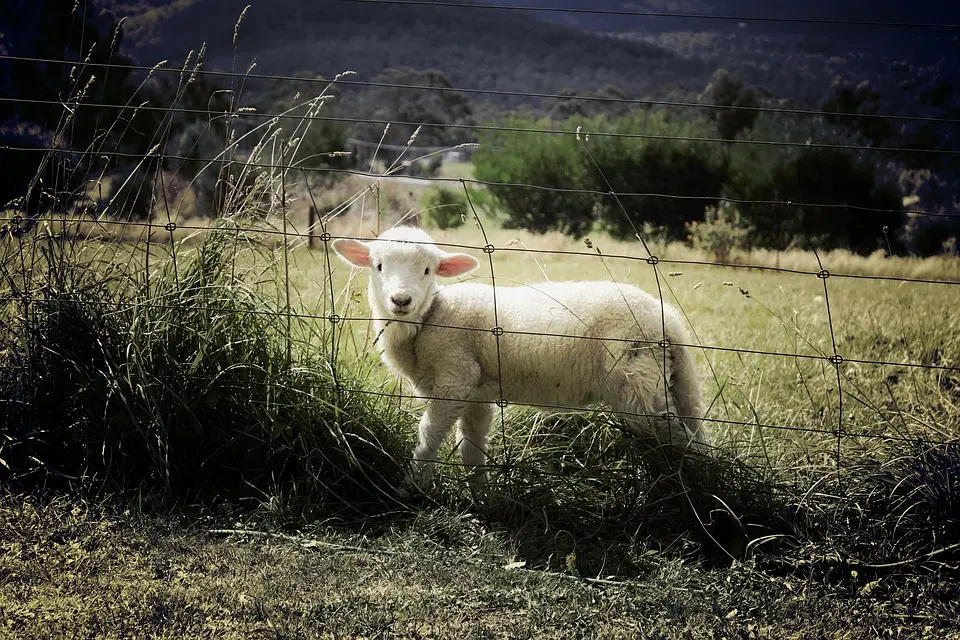Le Conseil départemental aux côtés de la Société Coopérative Agricole Laitière de Fillinges-Baillard – Département de la Haute-Savoie