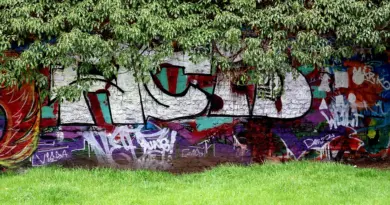 Le Festival Street Art est de retour à Calais : 12 œuvres vont venir sublimer les rues de la ville