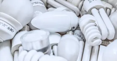 Le Label Climat-Air-Energie 5 étoiles pour la Ville de Lyon