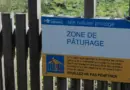 Le Sénat propose une cure d’amaigrissement pour les opérateurs de la transition écologique