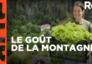 Le bonheur est dans le pré en Bulgarie