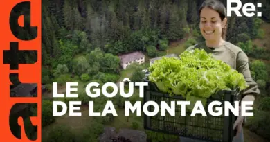 Le bonheur est dans le pré en Bulgarie