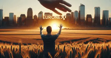Le colza Euronext retombe de plus de 3 €/t