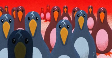 Le noyau Linux 6.16 est là, largement tourné vers les performances