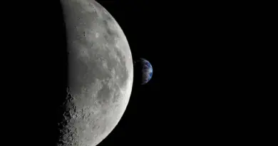 Le saviez-vous ? Les humains ne furent pas la première espèce à voyager autour de la Lune