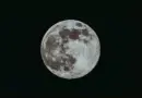 Le télescope James Webb s’offre une pouponnière d’étoiles dans la Patte de chat