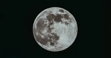 Le télescope James Webb s’offre une pouponnière d’étoiles dans la Patte de chat