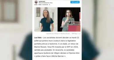 Législative à Paris : qui est Quitterie de Villepin, possible candidate de la gauche ?