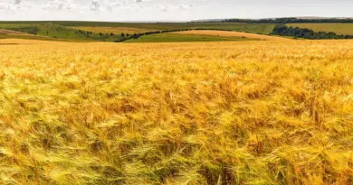 Les Terres de Jim 2025