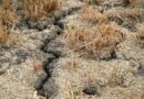 Les Vosges et la Meurthe-et-Moselle en alerte sécheresse : voici les nouvelles restrictions concernant l’usage de l’eau