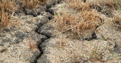 Les Vosges et la Meurthe-et-Moselle en alerte sécheresse : voici les nouvelles restrictions concernant l’usage de l’eau