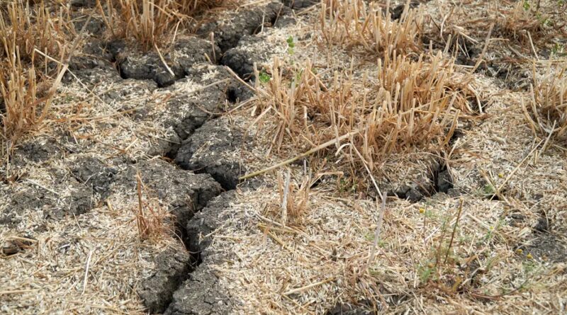 Les Vosges et la Meurthe-et-Moselle en alerte sécheresse : voici les nouvelles restrictions concernant l’usage de l’eau
