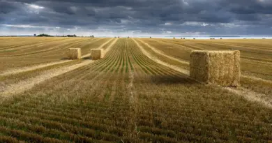 Les agriculteurs de retour à Bruxelles pour défendre la PAC