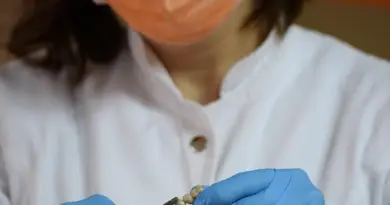 Les experts révèlent que la fréquence à laquelle vous allez aux toilettes en dit long sur votre santé globale : « Cela augmente les toxines dans la circulation sanguine.