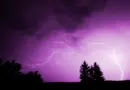 Les prévisions météo du jeudi 10 juillet 2025 par Ange Noiret – TF1 Info