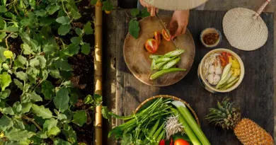 Les restaurants français de Paris, traditionnels ou modernes, nos bonnes adresses