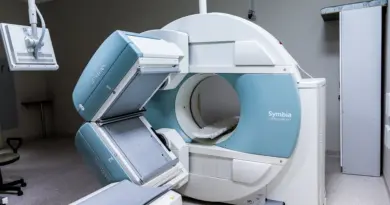 Les scientifiques créent des organoïdes hépatiques avec des vaisseaux sanguins fonctionnels – ma-clinique.fr