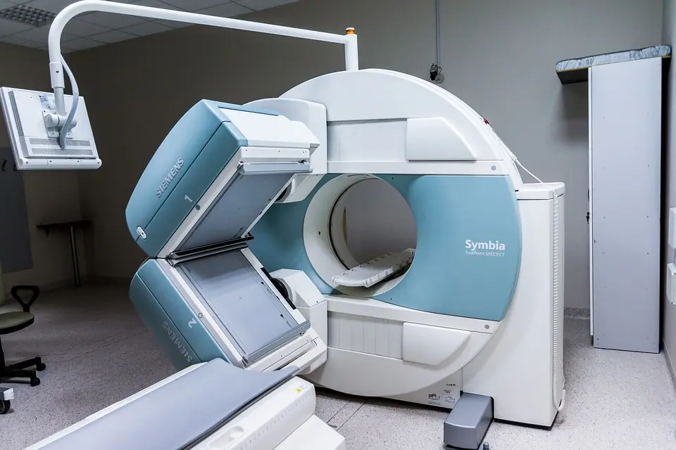 Les scientifiques créent des organoïdes hépatiques avec des vaisseaux sanguins fonctionnels – ma-clinique.fr