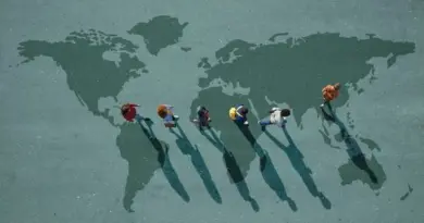 Les voyages d’études à l’étranger favorisent-ils l’emploi ?